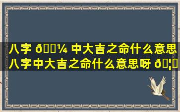 八字 🐼 中大吉之命什么意思（八字中大吉之命什么意思呀 🦟 ）